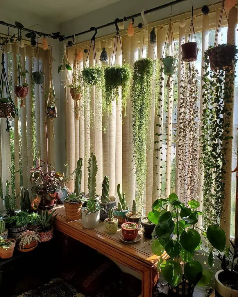Jardim vertical com plantas pendentes criando a ilusão de cortina