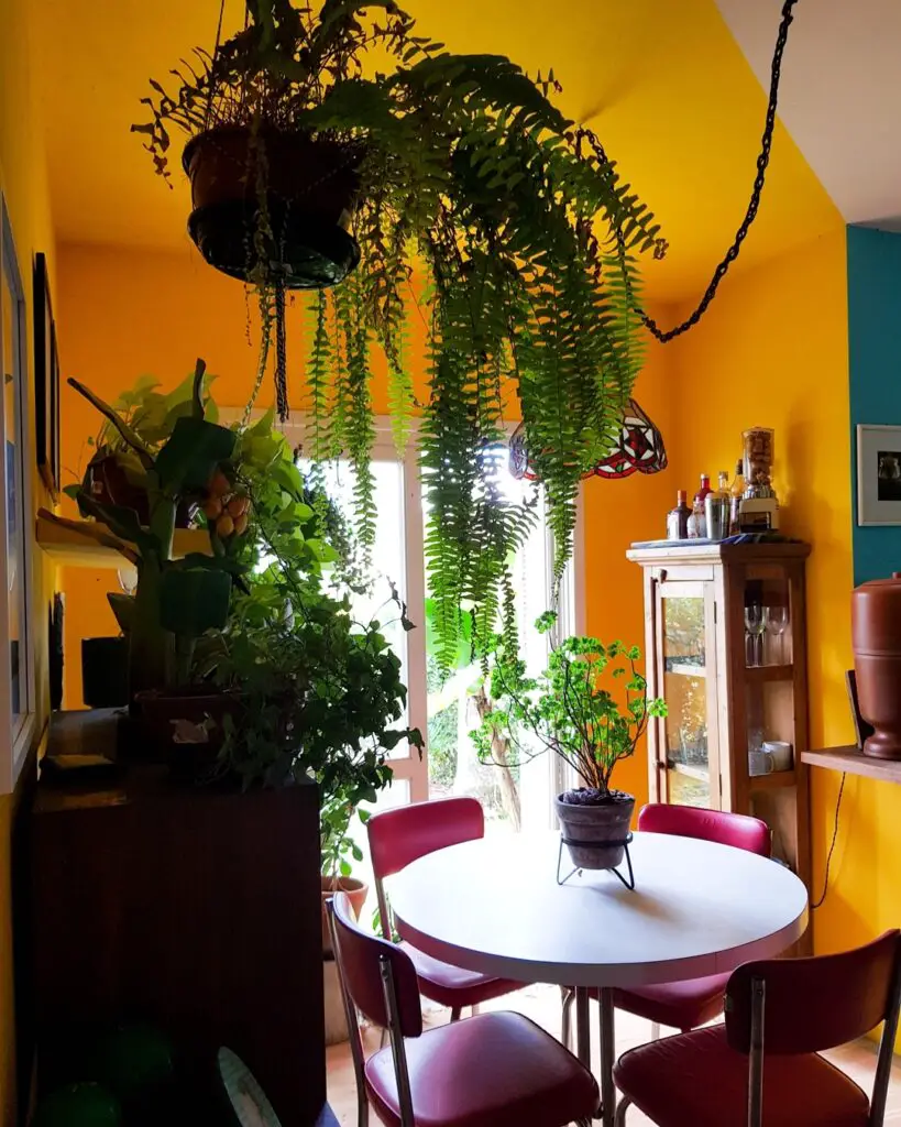 Espaço de refeição com parede pintada de laranja
