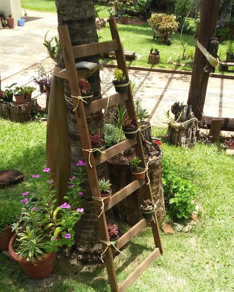 Jardim decorado com escada como suporte para vasos